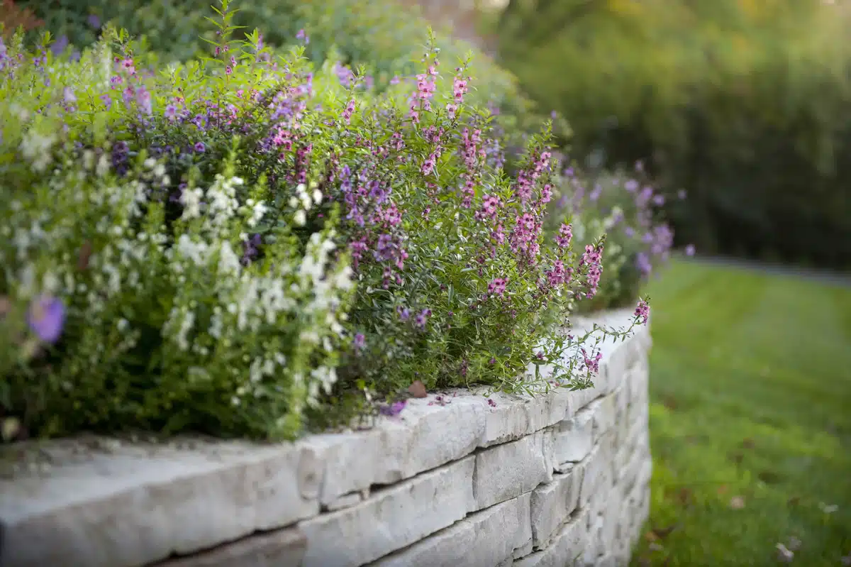 Landscaping/Hardscaping